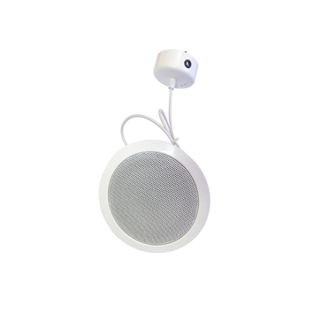 DEL-W 165/10 PP HAUT-PARLEUR DE PLAFOND 10W...