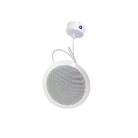 DEL-W 165/6 PP Haut-parleur suspendu au plafond 6W 100V...